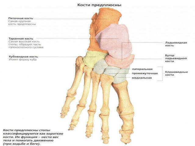kahjustada jalgade liigeseid ulevalt Liigeste haiguste poletik