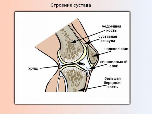 haiget liigeste peatamise pohjustel Kasitsi tootlemise liigeste artriit