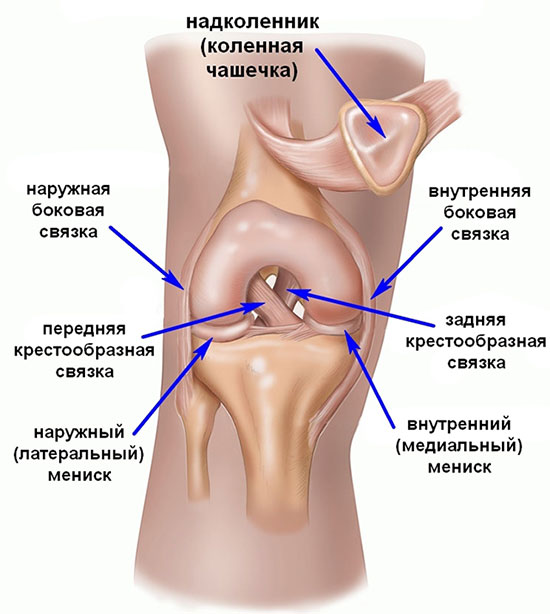 Hip turse endoprotertheetika