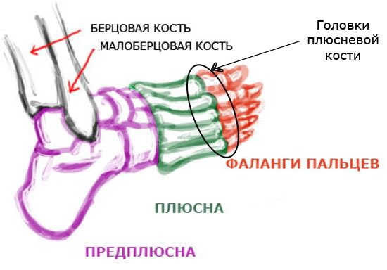 Sellest, mis ilmub liigeste artriidi Kleebi liigeste valu