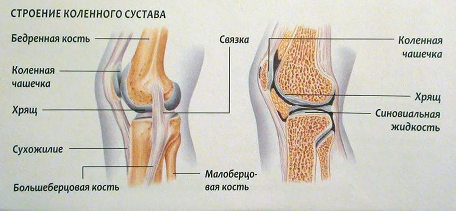 Don liigeste vigastuse ajal Mida teha sormega liigese artriidiga