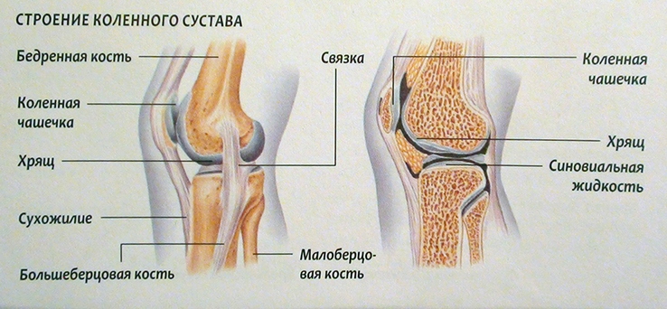 Anesteetilised liigesed liigeste ulevaateid Arthroosi jalgade ravi rahvas